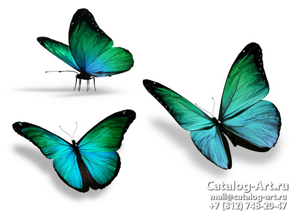  Butterflies 54
